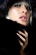 Fur passion