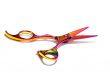 Professional Haircutting Scissors