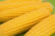 Corn on cob