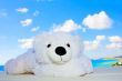 White teddy bear in the sky