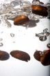 Coffee beans in water