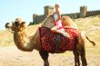 A girl riding a camel