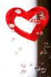 Valentine with red heart in water