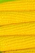 Corn on cob