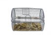 Golc Coins in Spinner Cage
