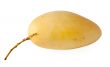 fresh yellow mango