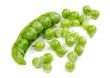 Green peas pods over a white