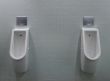 urinals with two white painted a fly on the toilet