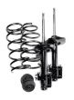 Set of shock absorbers, springs and thrust bearings