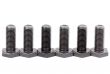 Bolts coated with protective varnish