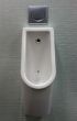 urinal with white painted a fly on the toilet
