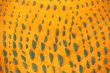 Yellow detail from painting 