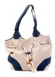 womens bag isolated over white