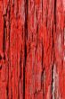 Old red wood cracked texture