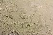 Decorative stucco