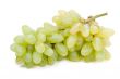 Bunch of white grapes with water drops isolated on white