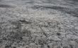 dry land with cracks