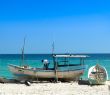 Yucatan Fishing Season