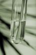 Test tube vase 