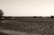Railway Bridge 