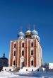 Golden domes of  Ryazan Kremlin 