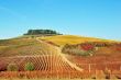 Tuscan landscape