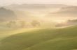 Misty morning