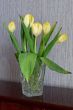 Yellow tulips.