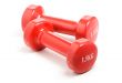 Two red dumbbells, isolated
