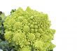 Romanesco broccoli or Roman cauliflower