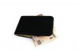 Wallet with Mexican Currency