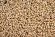 Sesame Seed