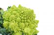 Romanesco broccoli or Roman cauliflower