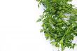 Parsley