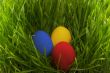 Easter eggs in the grass.