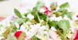 Mixed Salad