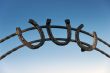 horseshoes
