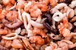 seafood