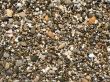pebble beach