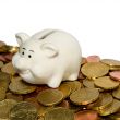 piggy bank