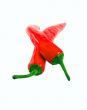 Red pepper