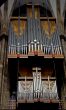 organ