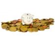 piggy bank