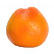 citrus