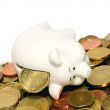 coins piggy bank 