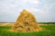 Hay Field