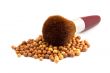 Powder and brush