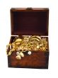 Treasure chest snake