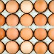 Chicken egg background