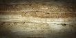 marble texture for background